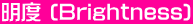 x (Brightness)