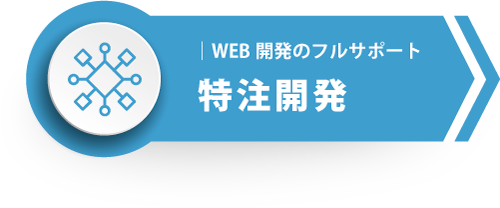 特注開発
